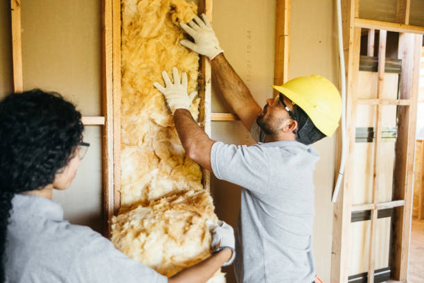 Insulation for Commercial Buildings in Marlboro Meadows, MD